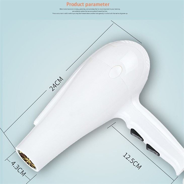 Hair Styling Dryer